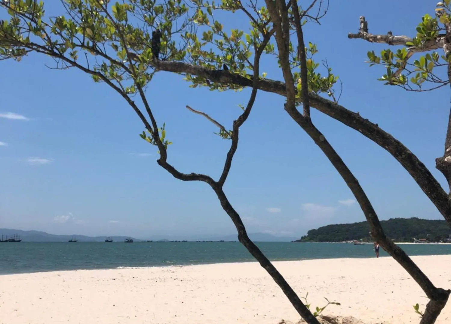 212 Apartamento Espetacular Perto Do Mar Florianopolis